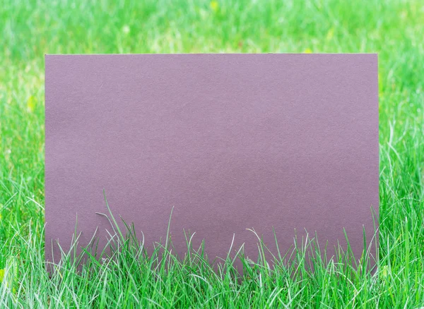 Μωβ χαρτί κενό στο πράσινο χορτάρι. Πράσινο γρασίδι ως πλαίσιο. — Φωτογραφία Αρχείου