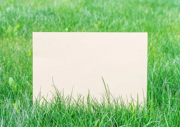 Paper blank on the green grass. Green grass as a frame. — Stock Photo, Image