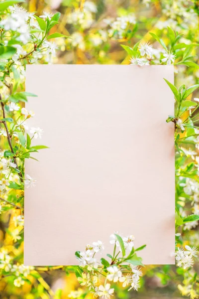 Papier blank zwischen Kirschzweigen in Blüte. — Stockfoto
