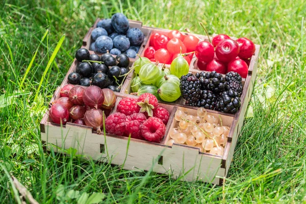 Bayas de verano en caja de madera en la hierba verde. Vista superior. — Foto de Stock