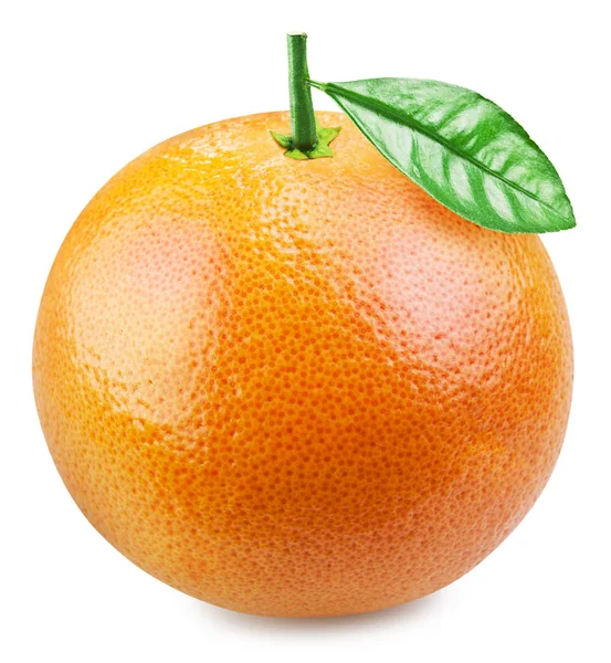 Een perfecte grapefruit met een blad geïsoleerd op witte achtergrond. — Stockfoto