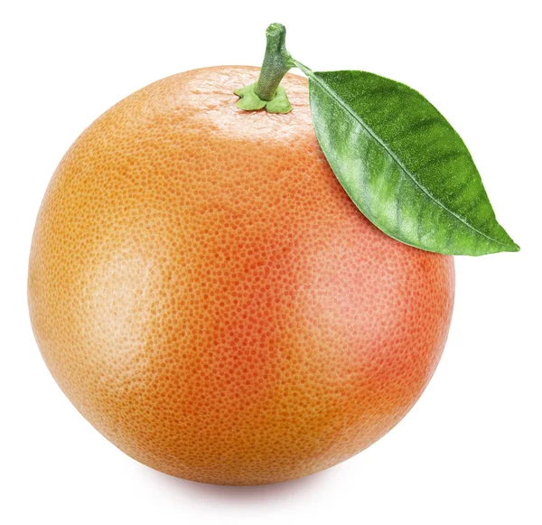 Eine perfekte Grapefruit mit einem Blatt isoliert auf weißem Hintergrund. — Stockfoto