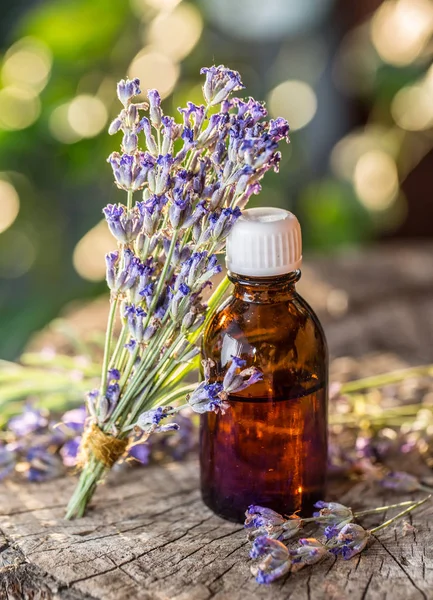 Bando de flores de lavandula ou lavanda e garrafa de óleo estão na — Fotografia de Stock