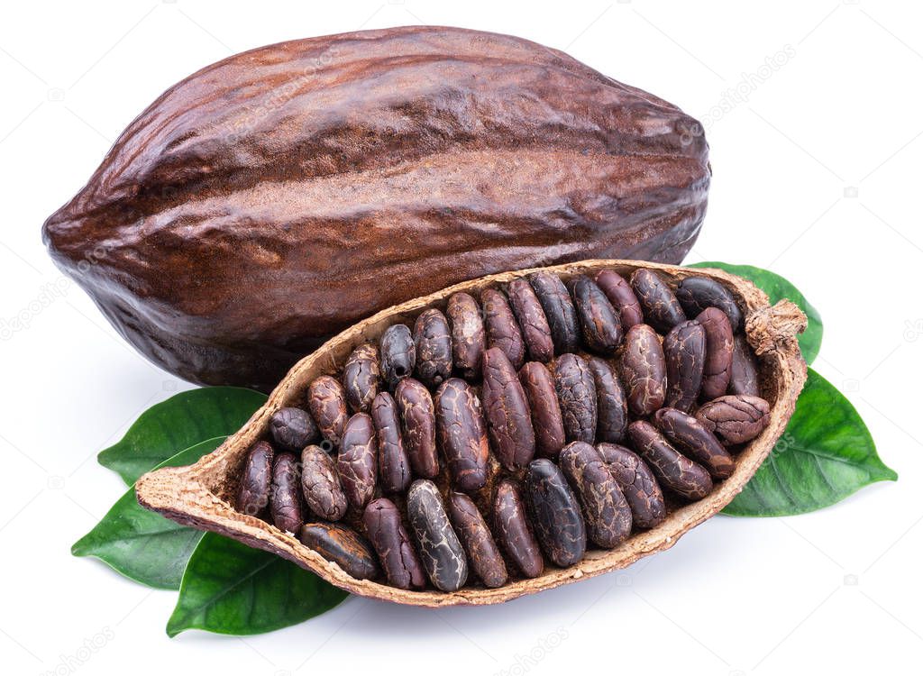 Cocoa pods and cocoa beans -chocolate basis isolated on a white 