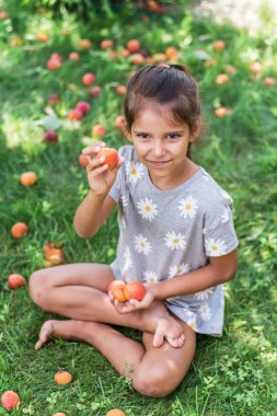 Kız kayısı ağacının altında olgun kayısı tutuyor.