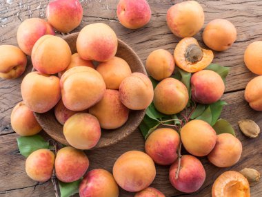 Bahçede meyve bahçesi ağacında olgun kayısı.