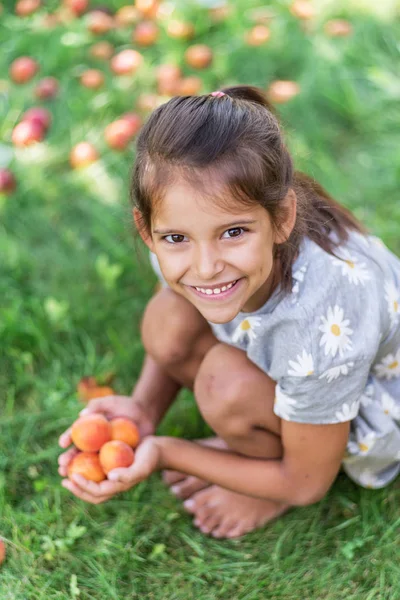 Flickan håller mogna aprikoser under aprikos träd. — Stockfoto