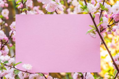 Kağıt çiçek çiçeklenme badem şubeleri arasında boş. Pembe f