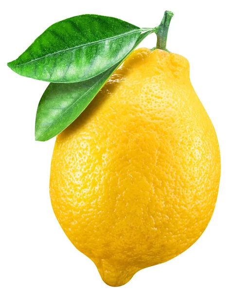 Ώριμα φρούτα λεμονιού με φύλλα λεμονιού σε λευκό φόντο. Αποκοπή p — Φωτογραφία Αρχείου