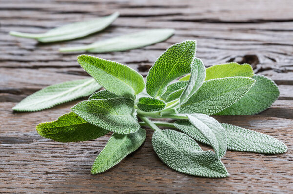 Свежие листья садового шалфея на деревянном фоне
.