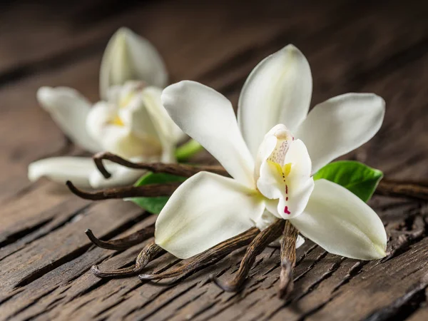 Gedroogde vanille sticks en Vanille-orchidee op houten tafel. — Stockfoto
