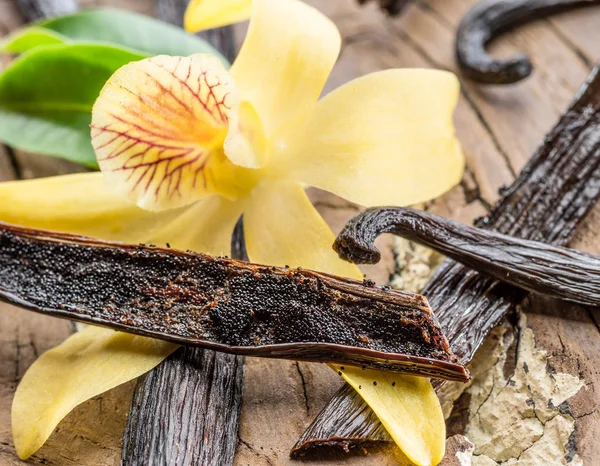 Getrocknete Vanillefrüchte und Vanille-Orchidee auf Holztisch. — Stockfoto