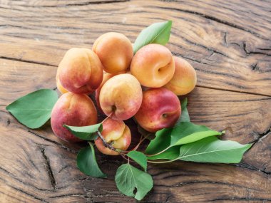 Bahçede meyve bahçesi ağacında olgun kayısı.