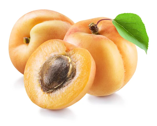 Ripe apricot fruits with a leaf. File contains clipping path. — Stock Photo, Image