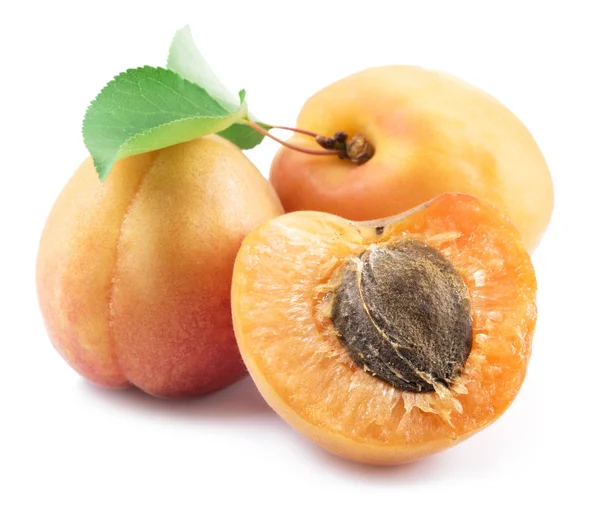Modne aprikoser isolert på hvit bakgrunn . – stockfoto