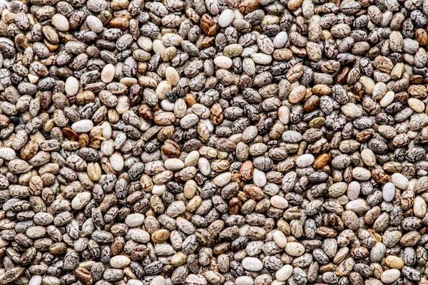 Muitas sementes de Chia. Fundo alimentar . — Fotografia de Stock