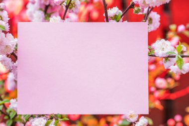 Kağıt çiçek çiçeklenme badem şubeleri arasında boş. Pembe f