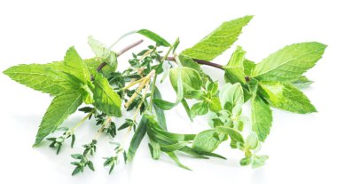 Beyaz arka planda farklı taze yeşil otlar.