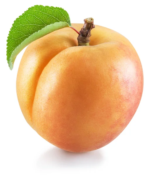 Reife Aprikosenfrüchte mit einem Blatt. Datei enthält Clipping-Pfad. — Stockfoto