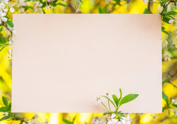 종이 꽃 벚꽃 분기 사이의 빈입니다. 화려한 녹색을 — 스톡 사진