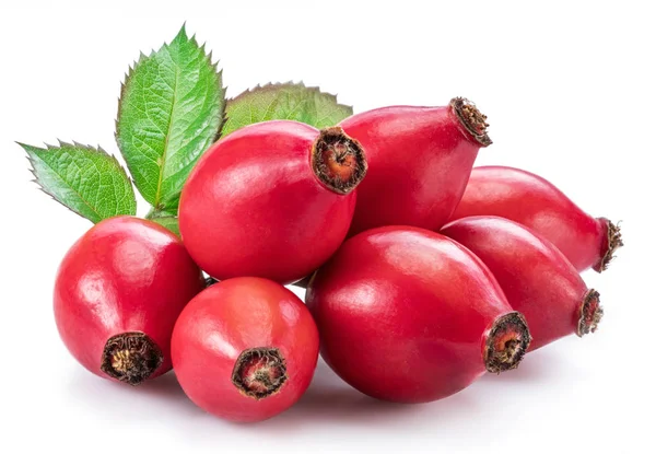 Rose-hips with rose leaves isolated on a white background. — Stock Photo, Image