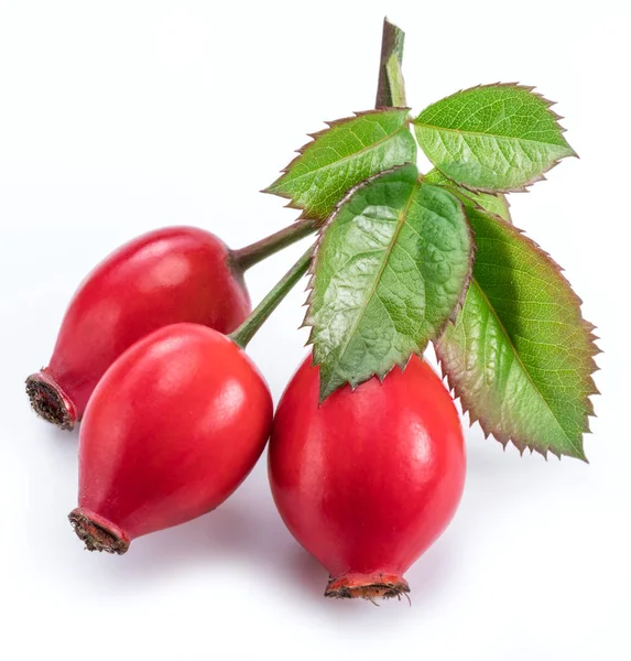 Hagebutten mit Rosenblättern auf weißem Hintergrund. — Stockfoto