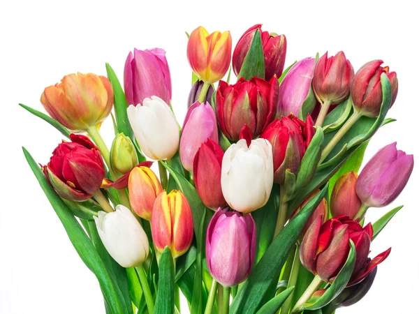 Kolorowy bukiet tulipanów na białym tle. — Zdjęcie stockowe