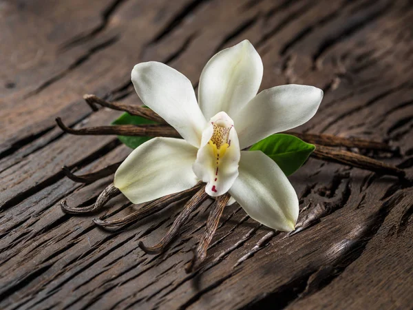Torkade vanilj pinnar och vanilj orkidé på träbord. — Stockfoto