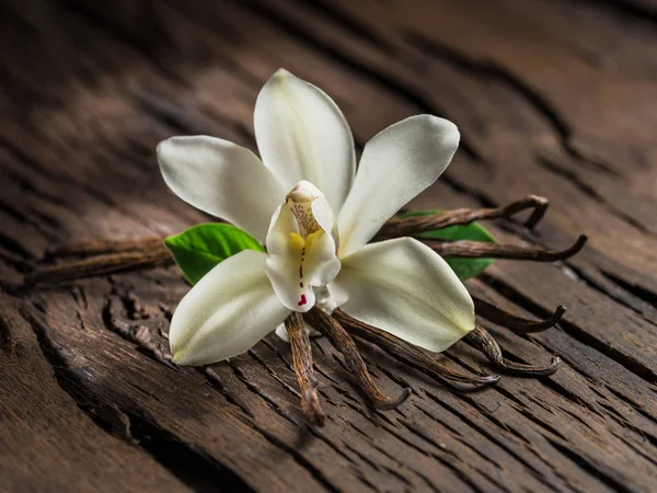 Palitos de baunilha secos e orquídea de baunilha na mesa de madeira . — Fotografia de Stock