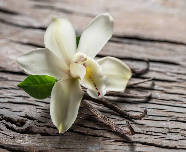 Palitos de vainilla secos y orquídea de vainilla sobre mesa de madera . —  Fotos de Stock