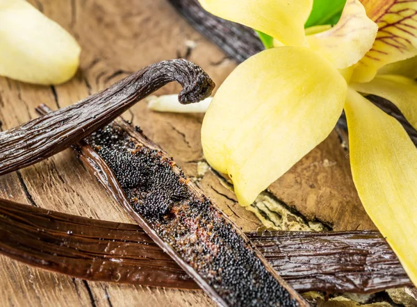 Frutos secos de vainilla y orquídea de vainilla sobre mesa de madera . —  Fotos de Stock