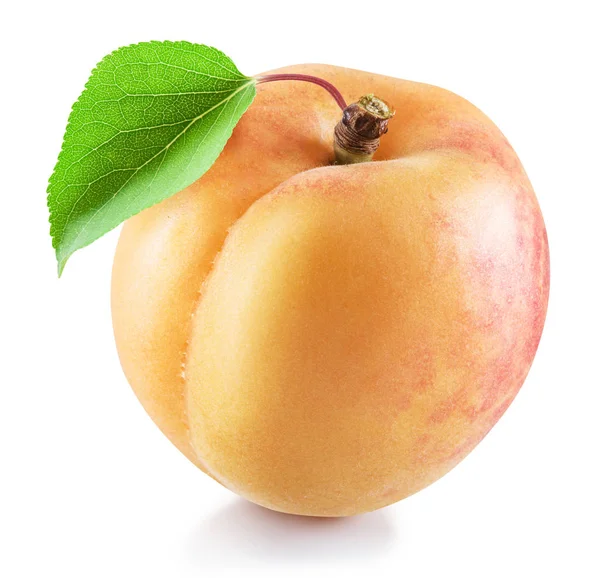 Ripe apricot fruit with green leaf. File contains clipping path. — Stock Photo, Image