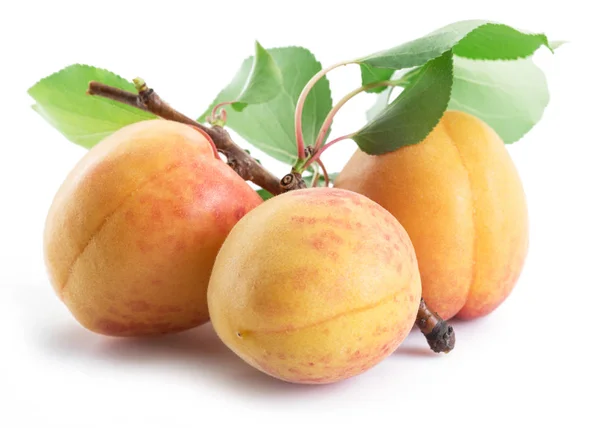 Three ripe apricots isolated on the white background. — Stock Photo, Image