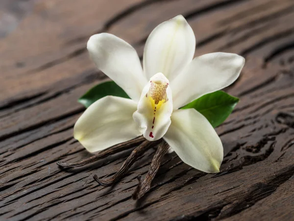 Palitos de baunilha secos e orquídea de baunilha na mesa de madeira . — Fotografia de Stock