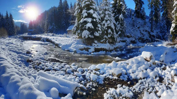 Hermoso paisaje de invierno. Río congelado y abetos verdes cubiertos —  Fotos de Stock