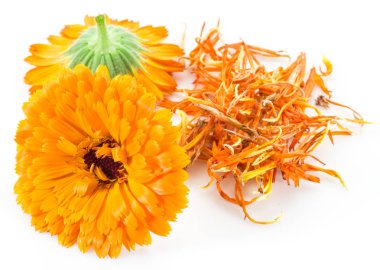 beyaz zemin üzerine Calendula çiçekler.