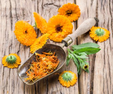 Calendula çiçekleri eski ahşap masada.