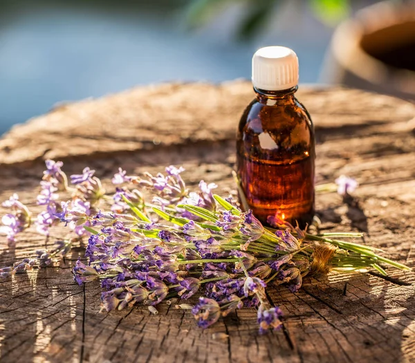 Gäng lavandula eller lavendel blommor och olja flaska är på den — Stockfoto