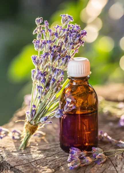 Bando de flores de lavandula ou lavanda e garrafa de óleo estão na — Fotografia de Stock