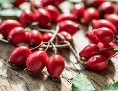 Olgun rose-kalça veya ahşap arka plan üzerinde yabani gül çilek.