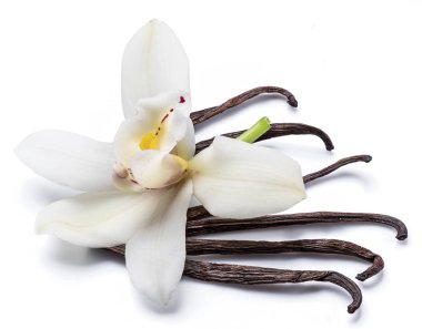 Vanilya çubukları ve üzerinde beyaz izole orkide vanilya çiçek kurutulmuş
