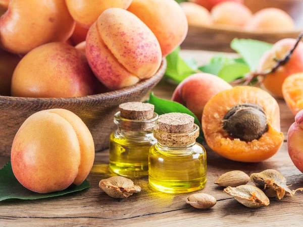 Apricot kernel oil and apricot kernels on wooden background. — Stock Photo, Image