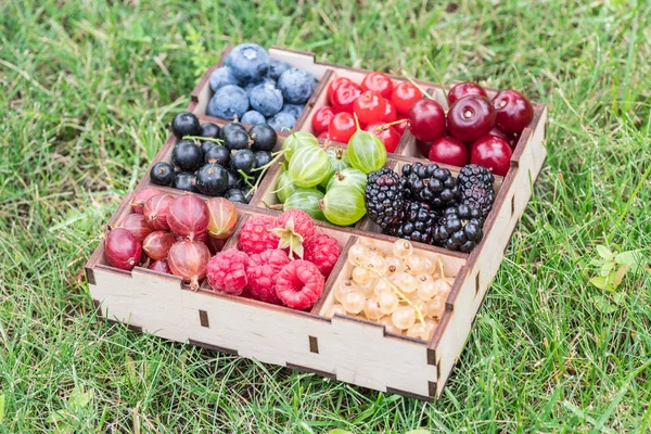 Summer berries in wooden box on the green grass. Top view. — Stock Photo, Image