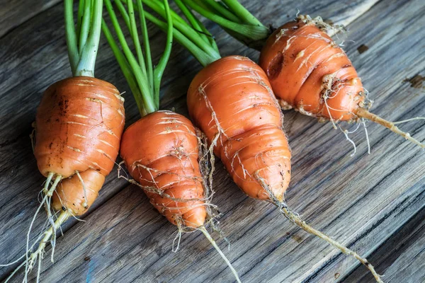 Φρέσκα βιολογικά καρότα και φέτες καρότο σε ξύλινο φόντο. — Φωτογραφία Αρχείου