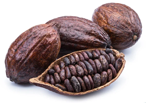 Cacaoschillen en cacaobonen geïsoleerd op een witte achtergrond. — Stockfoto