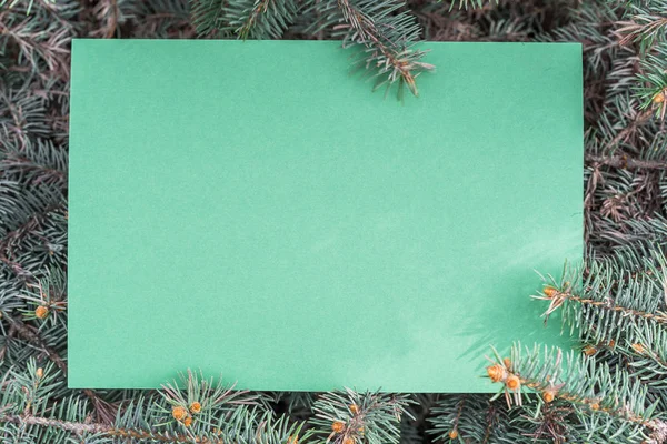 Зеленая бумага между ветвями ели, расположенных в рамке . — стоковое фото