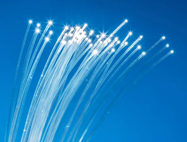 Bundle of optical fibers with lights in the ends. Blue backgroun — Stock Photo, Image