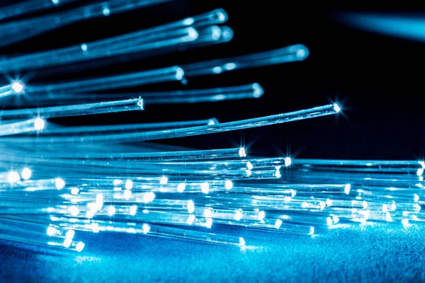 Paquete de fibras ópticas con luces en los extremos. Fondo azul. — Foto de Stock