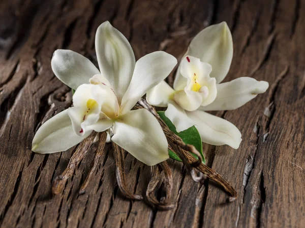 Palitos de baunilha secos e orquídea de baunilha na mesa de madeira . — Fotografia de Stock