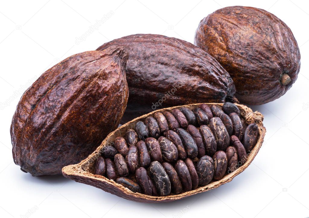 Cocoa pods and cocoa beans isolated on a white background. 